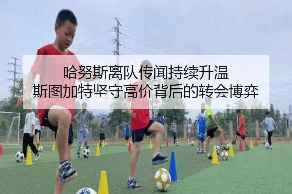 哈努斯离队传闻持续升温 斯图加特坚守高价背后的转会博弈